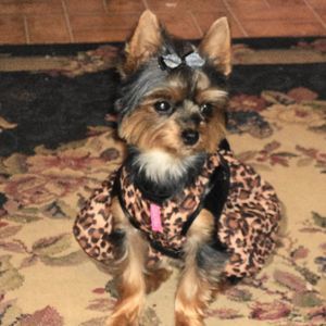 Meet your Posher, Wendy